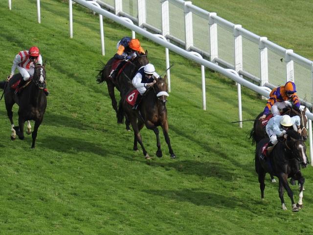 El Astronaute and Maverick Wave both run at Epsom this afternoon